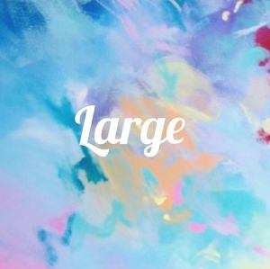 Womens Sz Large, 12, 14